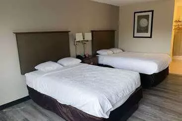 Motel 6 Rochester   Airport - Rochester