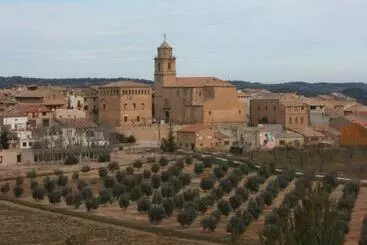 Ca Victor Ii - Arnes