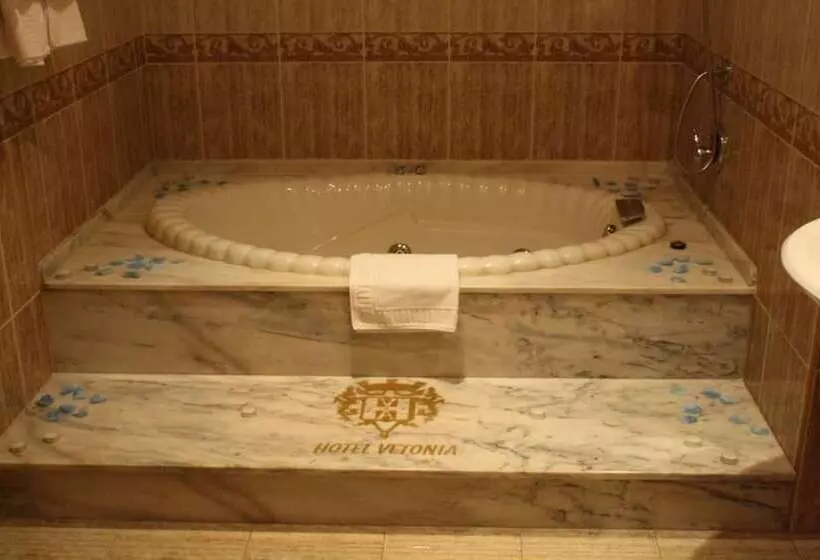 Fotos del hotel Acosta Vetonia:  5