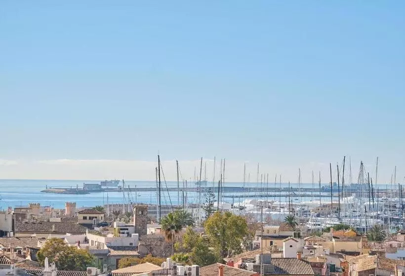 Fotos del hotel Almudaina:  8