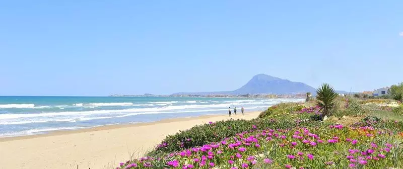 Fotos del hotel Mr Costa Blanca:  7