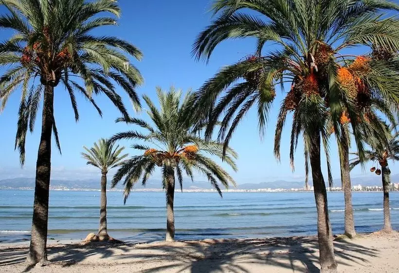 Fotos del hotel Planet One:  6