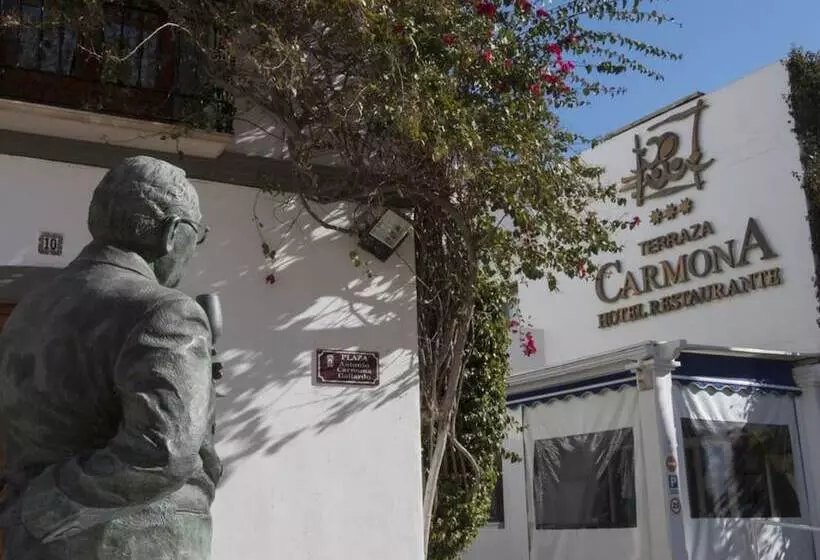 Fotos del hotel Terraza Carmona:  6