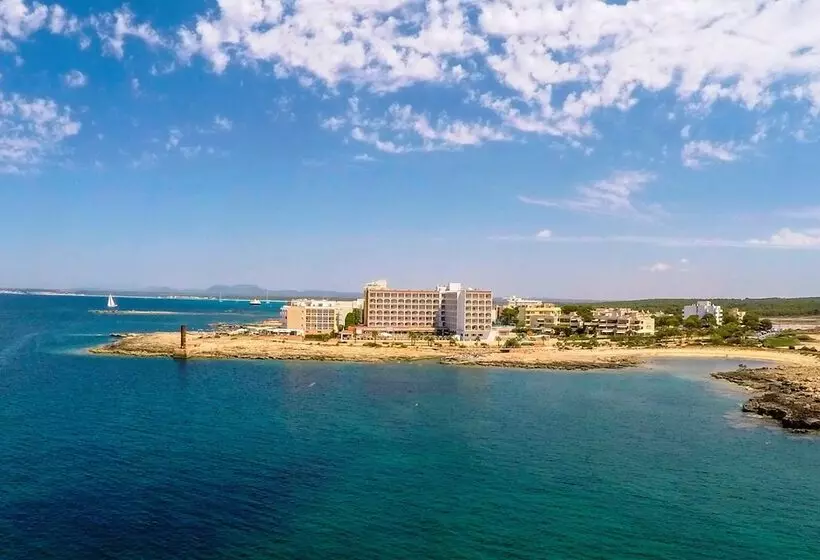 Fotos del hotel Universal Hotel Romantica:  4