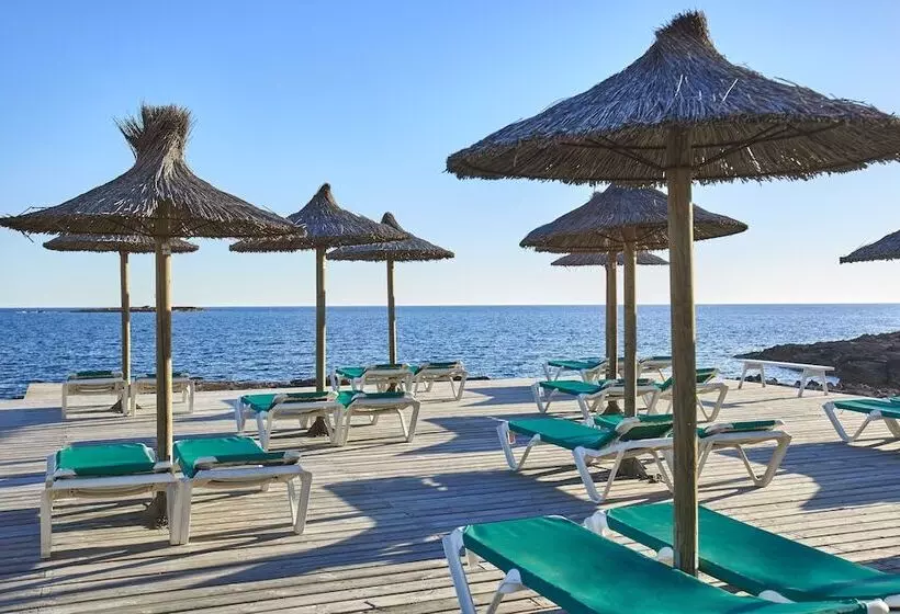 Fotos del hotel Universal Hotel Romantica:  7