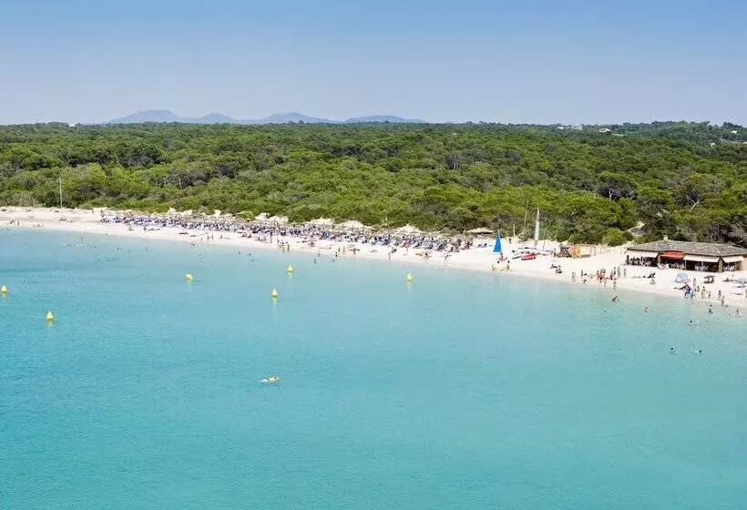 Fotos del hotel Universal Hotel Romantica:  13