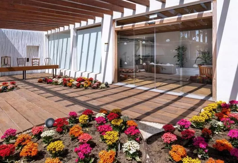 Fotos del hotel Mediterraneo Bay Hotel & Resort:  6