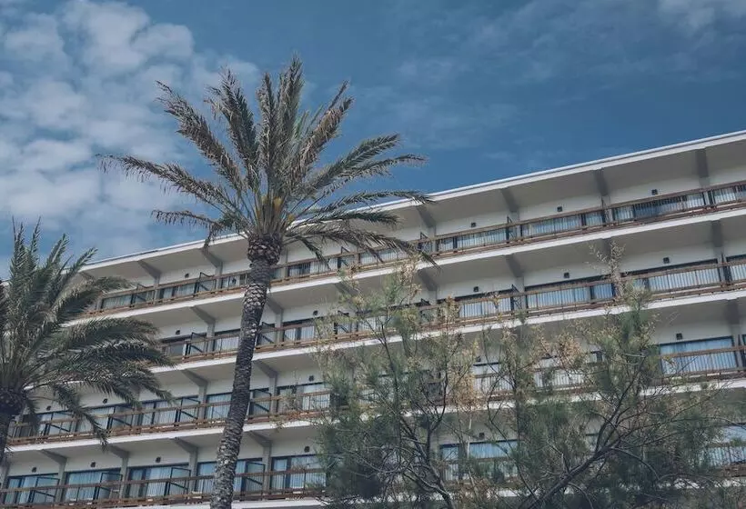 Fotos del hotel Aya Sea:  2