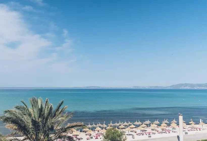 Fotos del hotel Aya Sea:  11