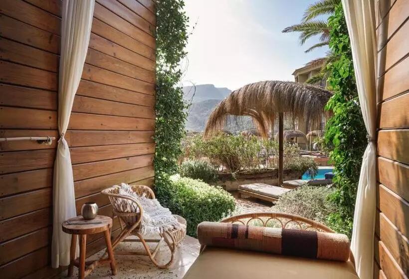 Fotos del hotel Bikini Island & Mountain Port De Soller Adults Only:  10