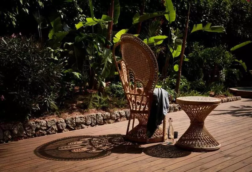 Fotos del hotel Bikini Island & Mountain Port De Soller Adults Only:  20