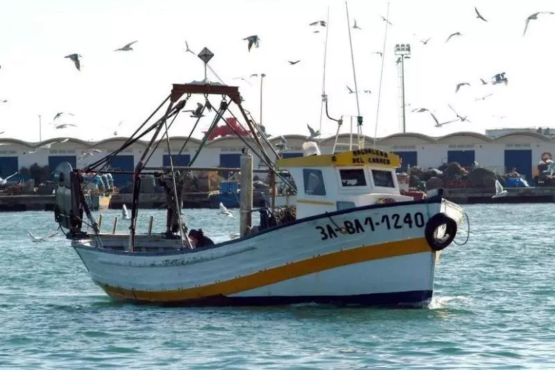 Fotos del hotel Cèsar:  9