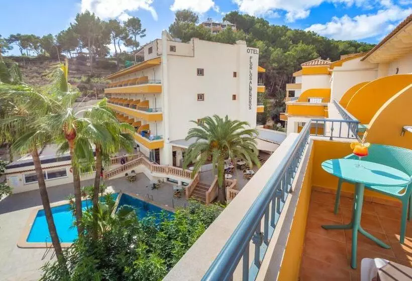 Fotos del hotel Flor Los Almendros:  24