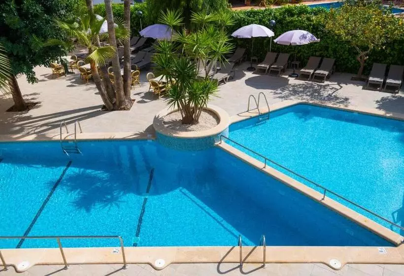 Fotos del hotel Flor Los Almendros:  9