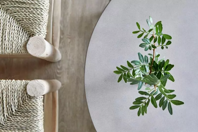 Fotos del hotel Hm Dunas Blancas:  10