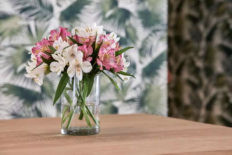 Fotos del hotel Hm Dunas Blancas:  11