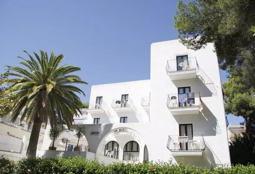 Fotos del hotel Morlans Garden:  5