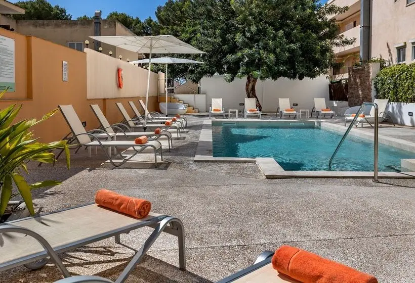 Fotos del hotel Morlans Garden:  14