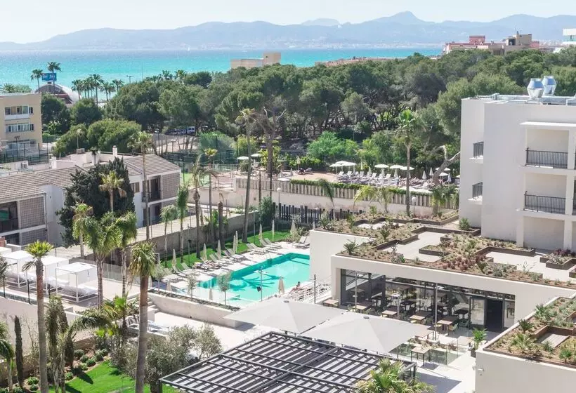 Fotos del hotel Paradiso Garden:  18