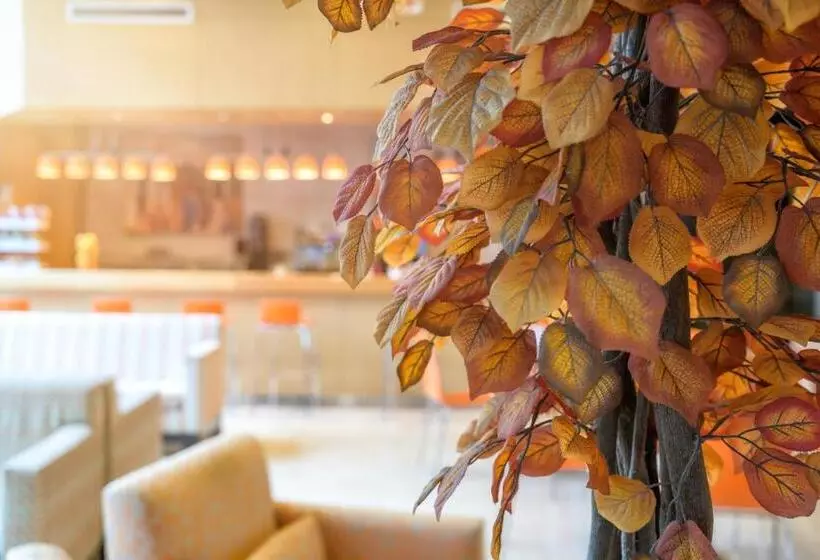 Fotos del hotel Restaurante Hotel El Vallés:  20