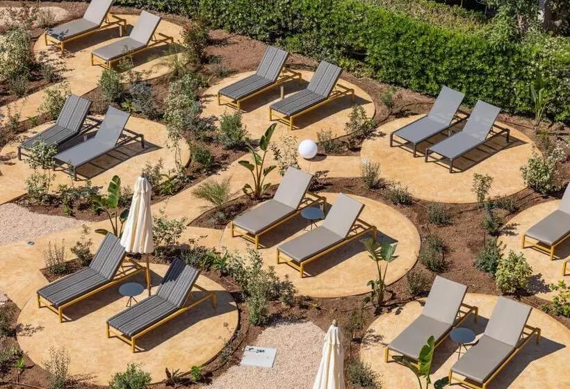 Fotos del hotel Santo Tomás:  13