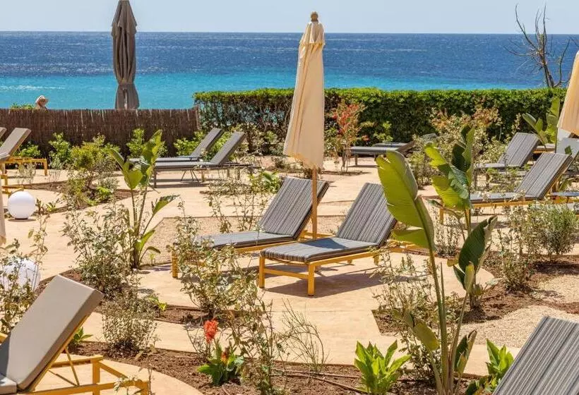 Fotos del hotel Santo Tomás:  16