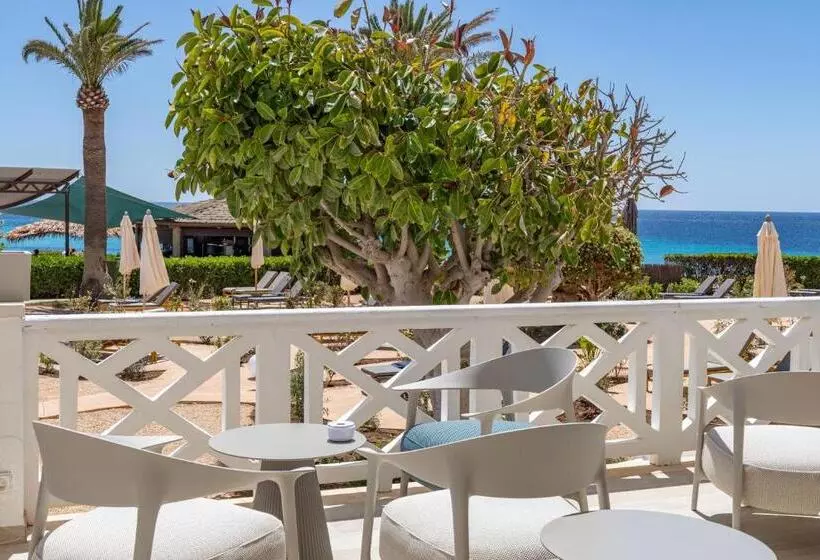 Fotos del hotel Santo Tomás:  21