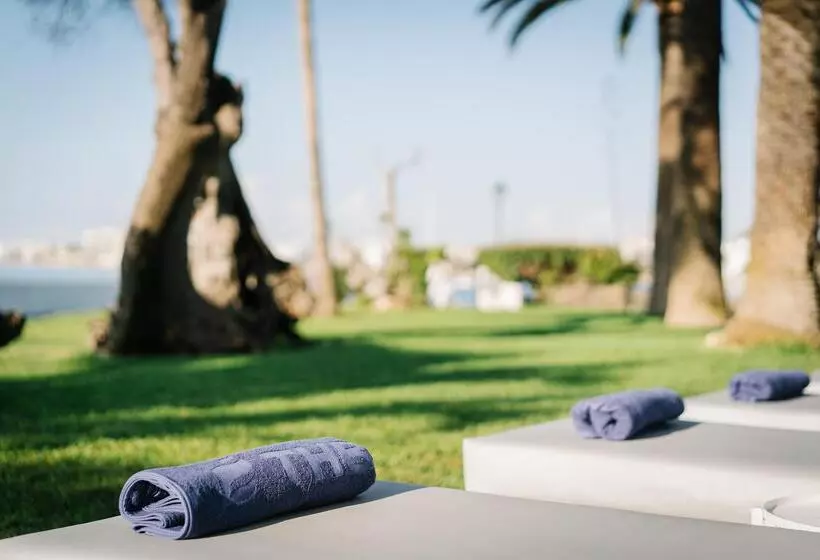 Fotos del hotel Thb Los Molinos Adults Only:  59