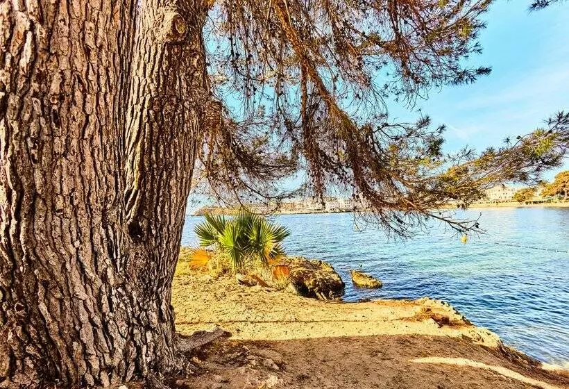 Fotos del hotel Alua Hotel Miami Ibiza:  59