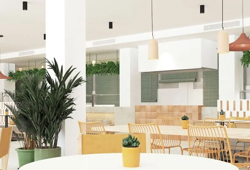 Fotos del hotel Hsm Don Juan:  9