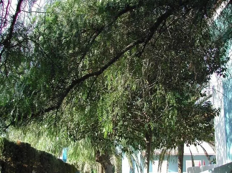 Fotos del hotel Del Mar Hotel & Spa:  21