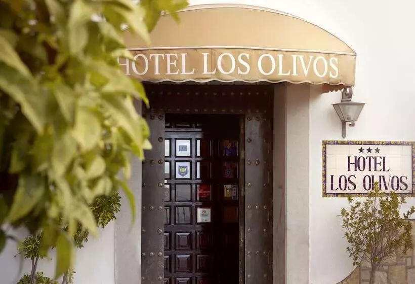 Fotos del hotel Los Olivos:  7