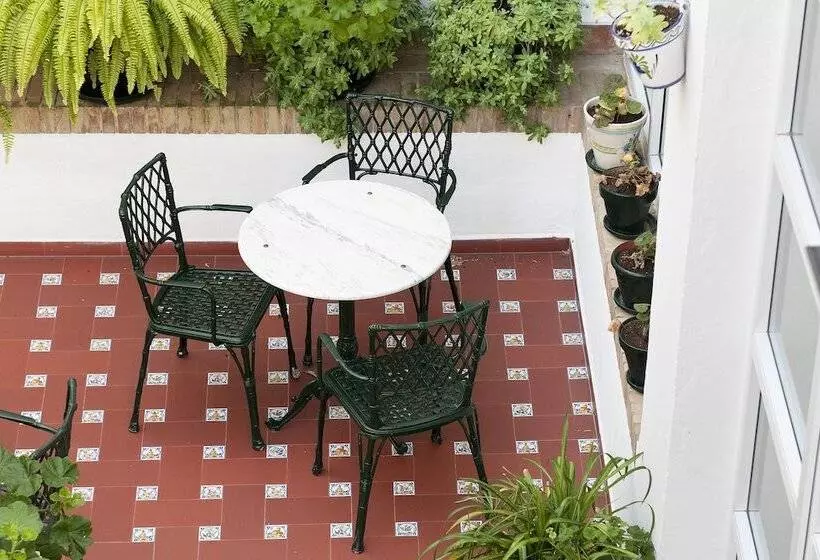 Fotos del hotel Los Olivos:  14