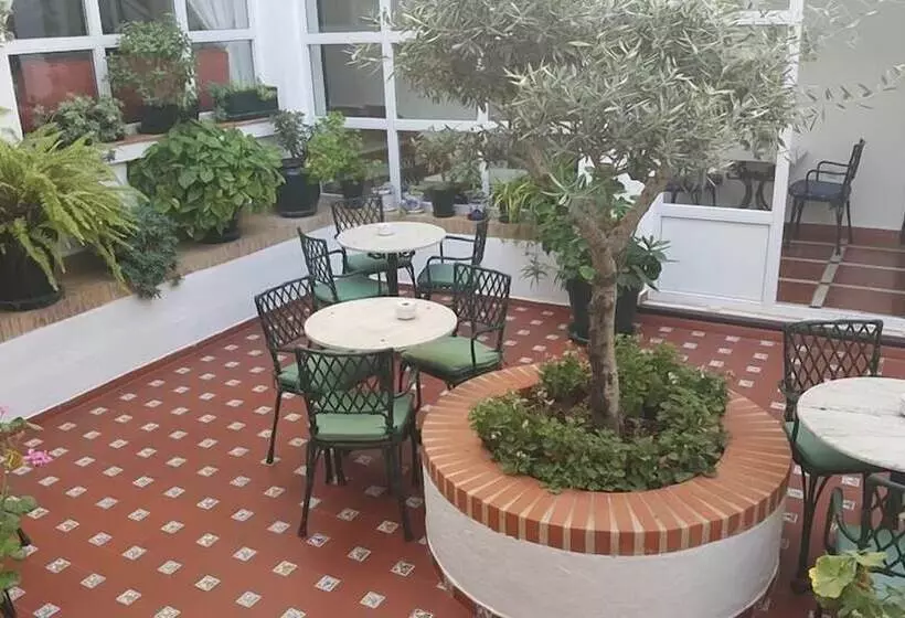 Fotos del hotel Los Olivos:  18