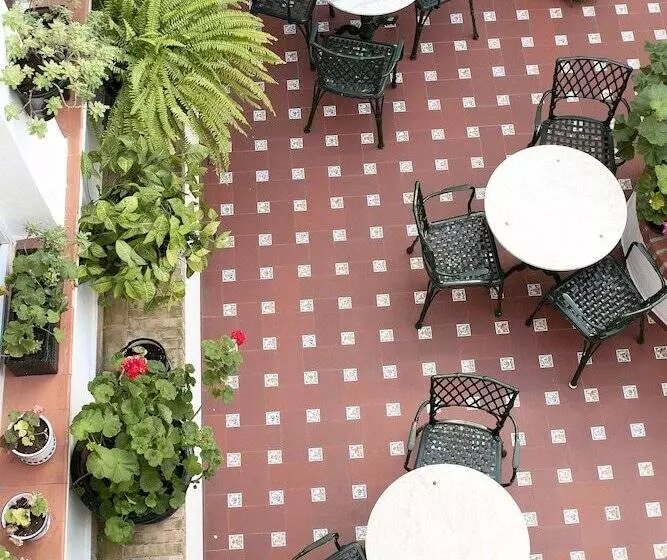 Fotos del hotel Los Olivos:  10