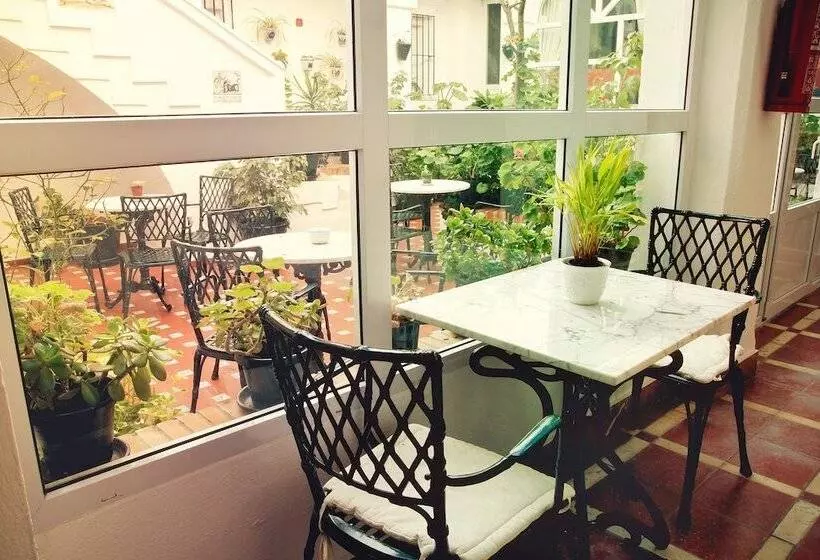 Fotos del hotel Los Olivos:  22