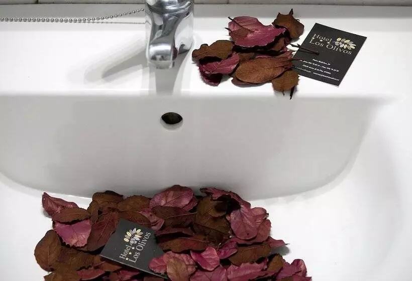 Fotos del hotel Los Olivos:  3