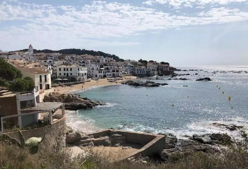 Fotos del hotel Mediterrani:  6