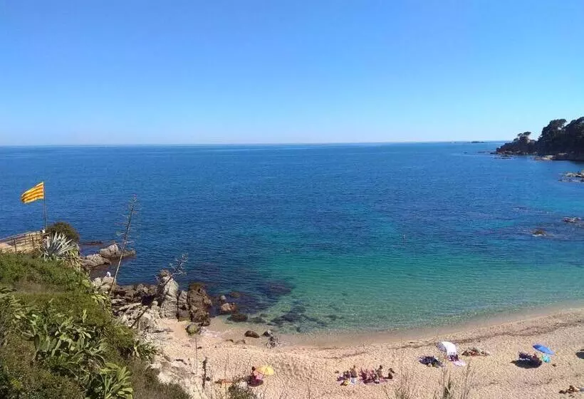 Fotos del hotel Mediterrani:  12