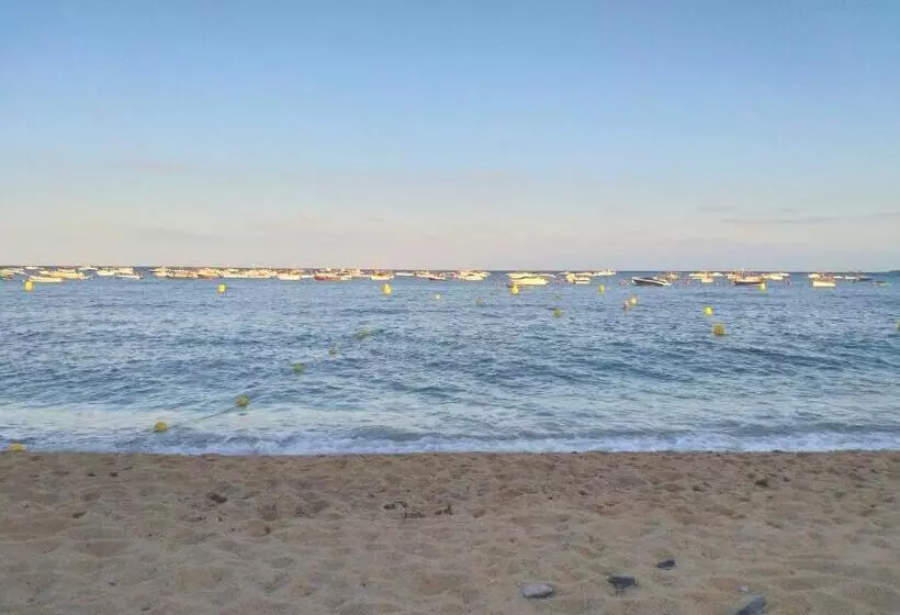 Fotos del hotel Mediterrani:  13