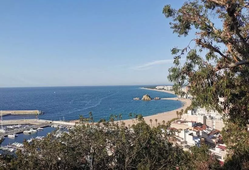 Fotos del hotel Petit Palau - Adults Only:  9