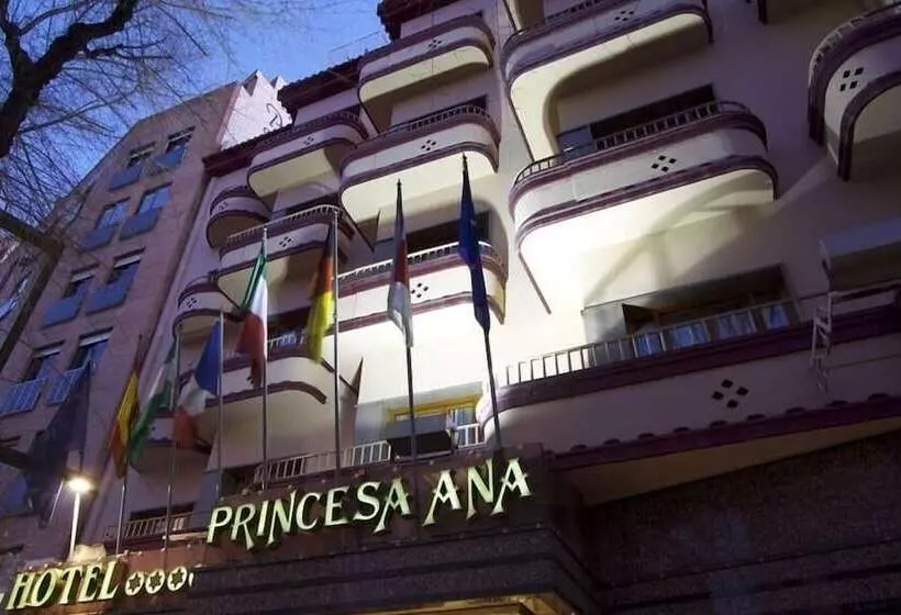 Fotos del hotel Princesa Ana:  17