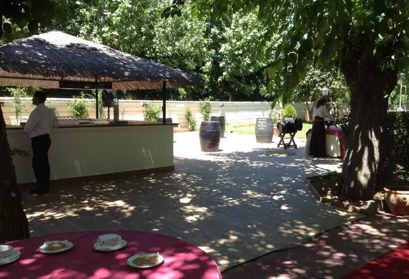 Fotos del hotel Del Val:  4