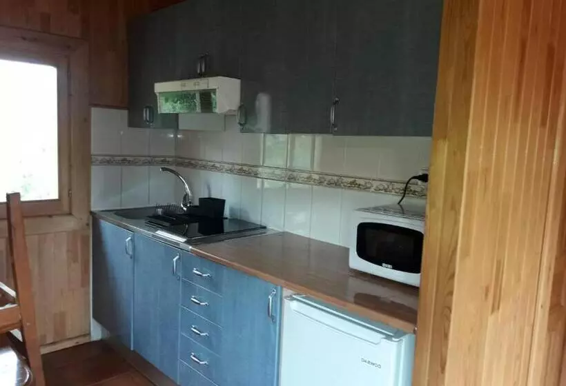 Fotos del hotel Sabiñanigo Camp &:  6