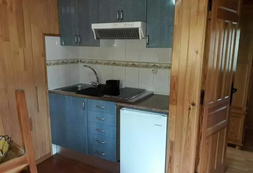 Fotos del hotel Sabiñanigo Camp &:  3