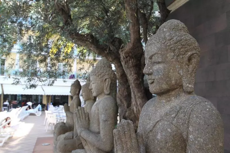 Fotos del hotel Hotel La Palmera & Spa:  7