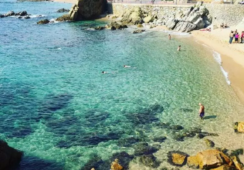 Fotos del hotel Hotel La Palmera & Spa:  15