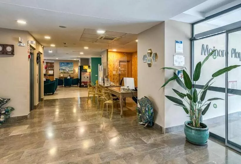 Fotos del hotel Mainare Playa:  4