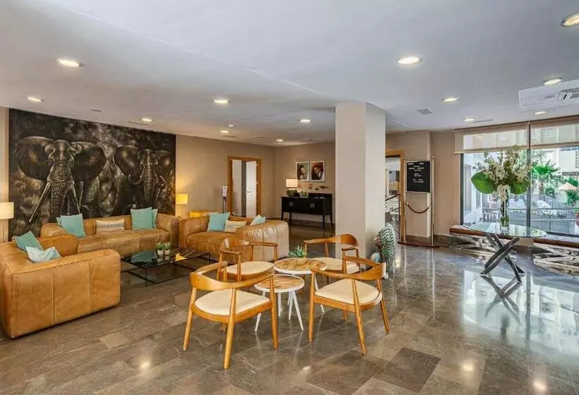 Fotos del hotel Mainare Playa:  12