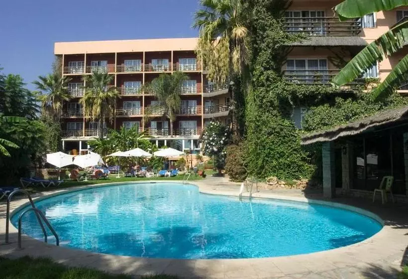 Fotos del hotel Ms Tropicana:  17